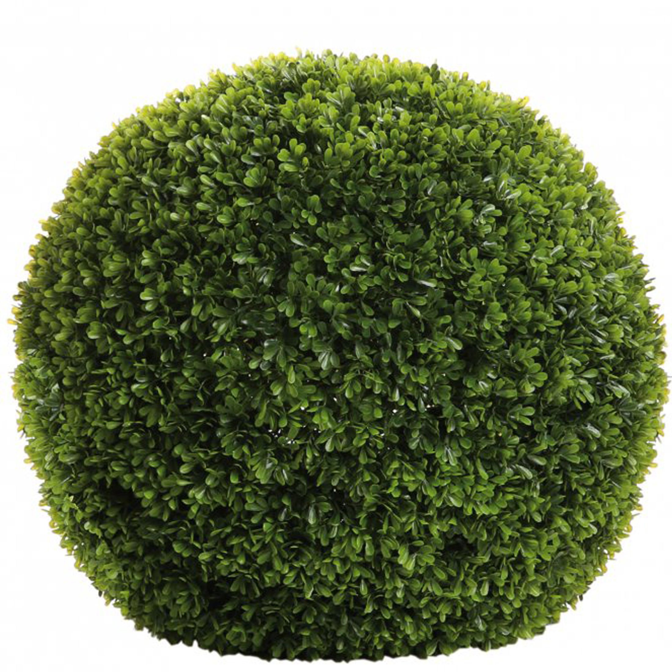 Fink BUCHSKUGEL/Buxus,grün/D.50cm