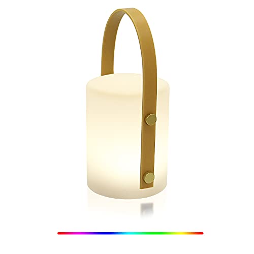 LED Nachtlicht, USB wiederaufladbare wasserdichte Campinglampe Nachttischlampe, dimmbare RGB Tischlampe mit Griffseil für Schlafzimmer, Outdoor Camping, Wohnzimmer, Partys (Zylinder)
