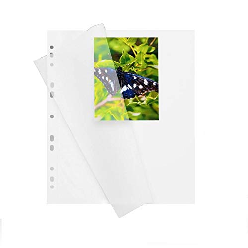 Herma 7569 Fotokarton Fotoblätter 100 Blatt Weiß Mit Pergamin 230x297mm
