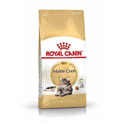 Royal Canin Katzenfutter Maine Coon 31, 4 kg