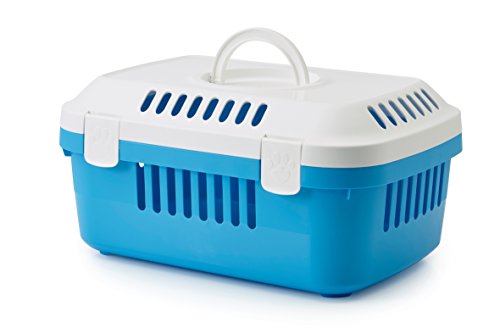 Transportbox Discovery Compact blau 48,5 x 33 x 23,5cm