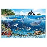 Vliestapete - Unterwasserwelt mit Tieren - Fototapete Breit 225 x 336 cm