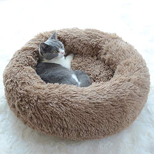 Großes Katzenbett mit hoher Seite, Kunstfell, Schlafsack, Donut, tief, schlafend, für mittelgroße und große Katzen