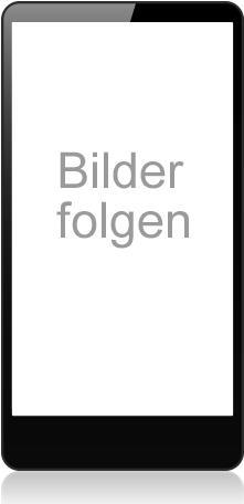 Guess GUBKP13S4GDBL Hülle für iPhone 13 Mini 5,4" blau buchen 4G Stripe