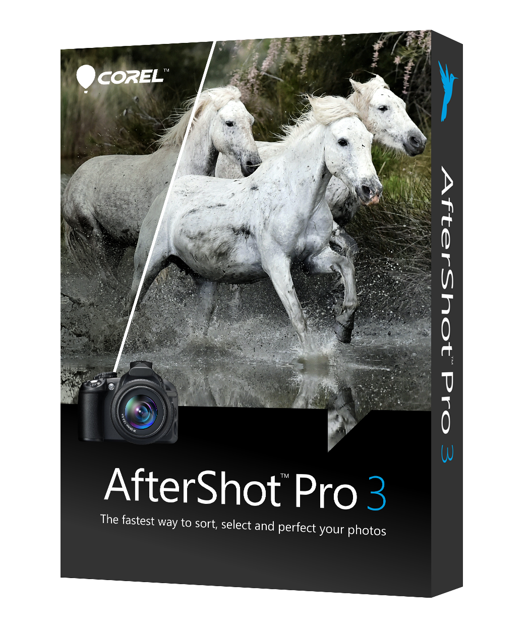 Corel AfterShot Pro - (v. 3) - Lizenz - 1 Benutzer - ESD - Linux, Win, Mac - Multi-Lingual