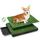 Sailnovo Hundetoilette Hundeklo Welpentoilette Trainingsunterlage mit Kunstrasen, 3-Schichtig Training Hundetöpfchen Rasenmatte für Kleine/Grosse/ältere Hunde Tier WC Stubenrein,63 x 50 x 7cm