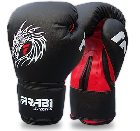 Farabi Dragon Boxing, MMA, Muay Thai, Kickboxing Fitness Punching Gloves Bag Mitts (10-OZ)