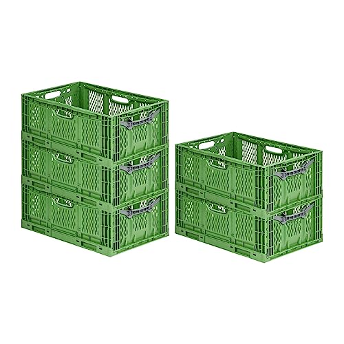 PROREGAL SuperSparSet 5x Stabile Profi-Klappbox Chameleon in Industriequalität | HxBxT 23x40x60cm | 45L | klappbar stapelbar durchbrochen lebensmittelecht | Eurobox Eurobehälter Transportbehälter