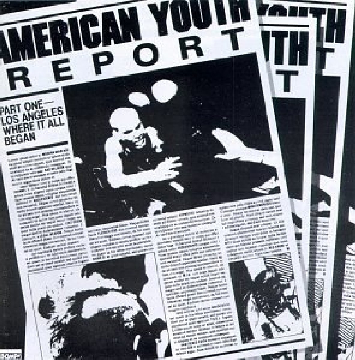 American Youth Report