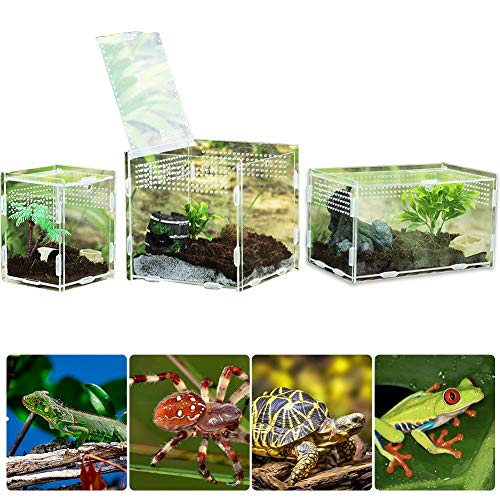 funnyfeng Transparent Reptile Breeding Box Acrylic Feeding Box 360 Degree High Transparent Magnetic Pet Climbing Terrarium