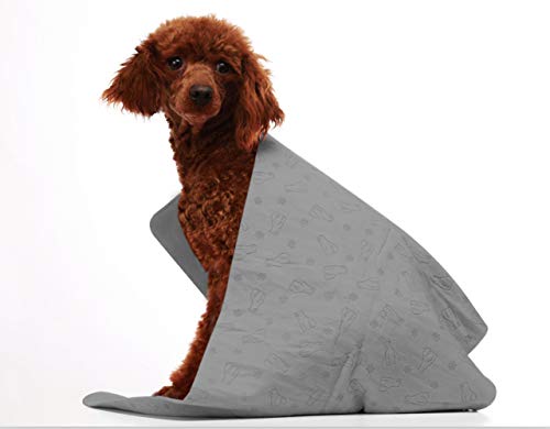 LA Hunde-Handtuch, super saugfähig, für kleine, mittelgroße, große Hunde und Katzen, Bär-bedrucktes Wildleder-Handtuch, entworfen für den Innen- und Außenbereich, grau