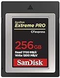 SanDisk Extreme Pro CFexpress-Speicherkarte Typ B 256 GB (1.700 MB/s Lesen, 1.200 MB/s Schreiben, RescuePRO Deluxe, ruckelfreie RAW Videos, 4K, XQD Kompatibilität)