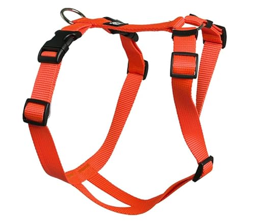 Hundegeschirr - Nylonband, Unifarben Orange, Bauchumfang 70-90 cm, 25 mm Bandbreite