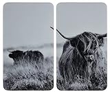 WENKO Herdabdeckplatte Universal Highland Cattle, 2er Set, Herdabdeckung für alle Herdarten, Gehärtetes Glas, 30 x 52 cm, grau