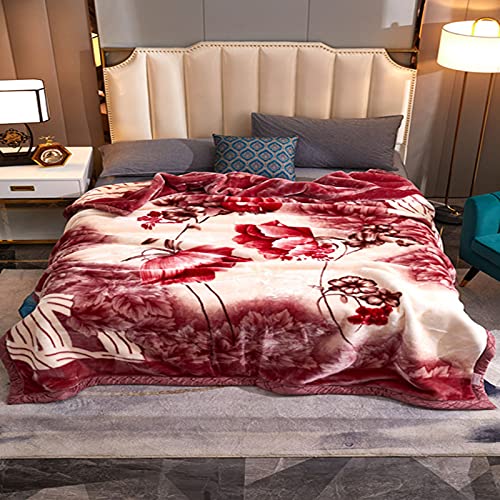 Raschel 100% Polyesterfaser Plüsch Fleece Decke King Size verdickt Doppellagig Warm Gemütlich Flauschige Decke für Schlafzimmer Wohnzimmer Winter Einzelbett Doppelbett (Stil 2.200 x 230 cm (3500 g))