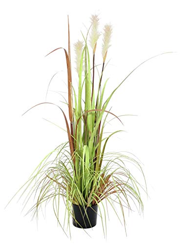 Euro Palms 82600123 Wildwuchs, 120 cm