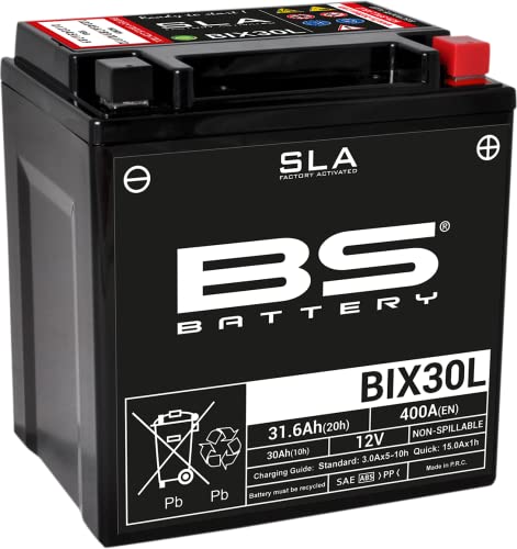 BS Battery 300631 BIX30L AGM SLA Motorrad Batterie, Schwarz