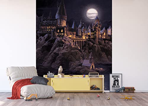 Harry Potter Vlies Fototapete von AG Design | 225 x 270 cm | 3 Teile | AFTD3P 5178 - 416