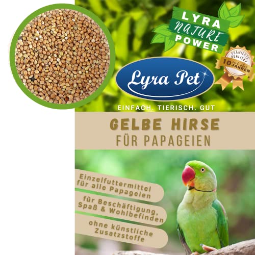 Lyra Pet® 25 kg Hirse lose weiß gelb Papageien Kanarien Vogelfutter Ziervögel