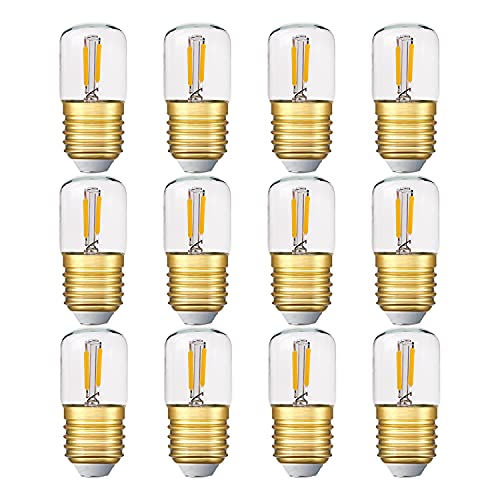 Genixgreen Mini Röhren-LED-Lampe, 1 W T28 Edison LED-Glühlampe E27 Schraubfuß 2700K Super warmweiße Glühbirne für dekorative nicht dimmbare (Klarglas) 12er-Pack…