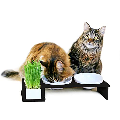 CanadianCat Company ® | Futterbar Cat Diner Hartfaser Holzrahmen in dunkler Optik für Katzen mit dritter Schale für z.B. Katzengras