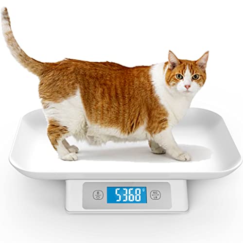 ICARE-PET Digitale Tierwaage für Welpen und Kätzchen, 15 kg (±1 g), abnehmbare Schale, Größe 34 x 24 cm, geeignet für Katzen und Welpen (Grau)