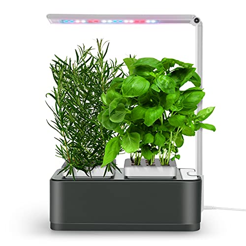 amzWOW Clizia Smart Garden - Hausgarten - kräutergarten für die küche - Ziehen Sie Ihre eigenen aromatischen Kräuter zuhause - Keine Kapseln -Grow Lampe, Smart LED-Lampe enthalten