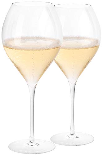 Veuve Clicquot Champagner Glas Trendy Prestige Gläser Set Klar 280 ml Flöte (2 Stück)