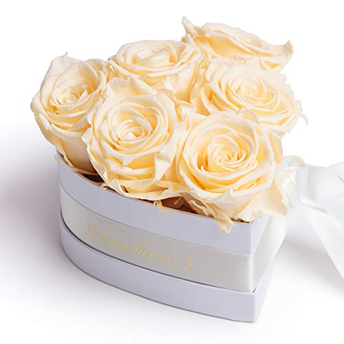 ROSEMARIE SCHULZ Heidelberg Infinity Rosenbox mit persönlicher Widmung in Herzform konservierte Rosen EIN persönliches Geschenk für Frauen (Wunschtext, Beige)