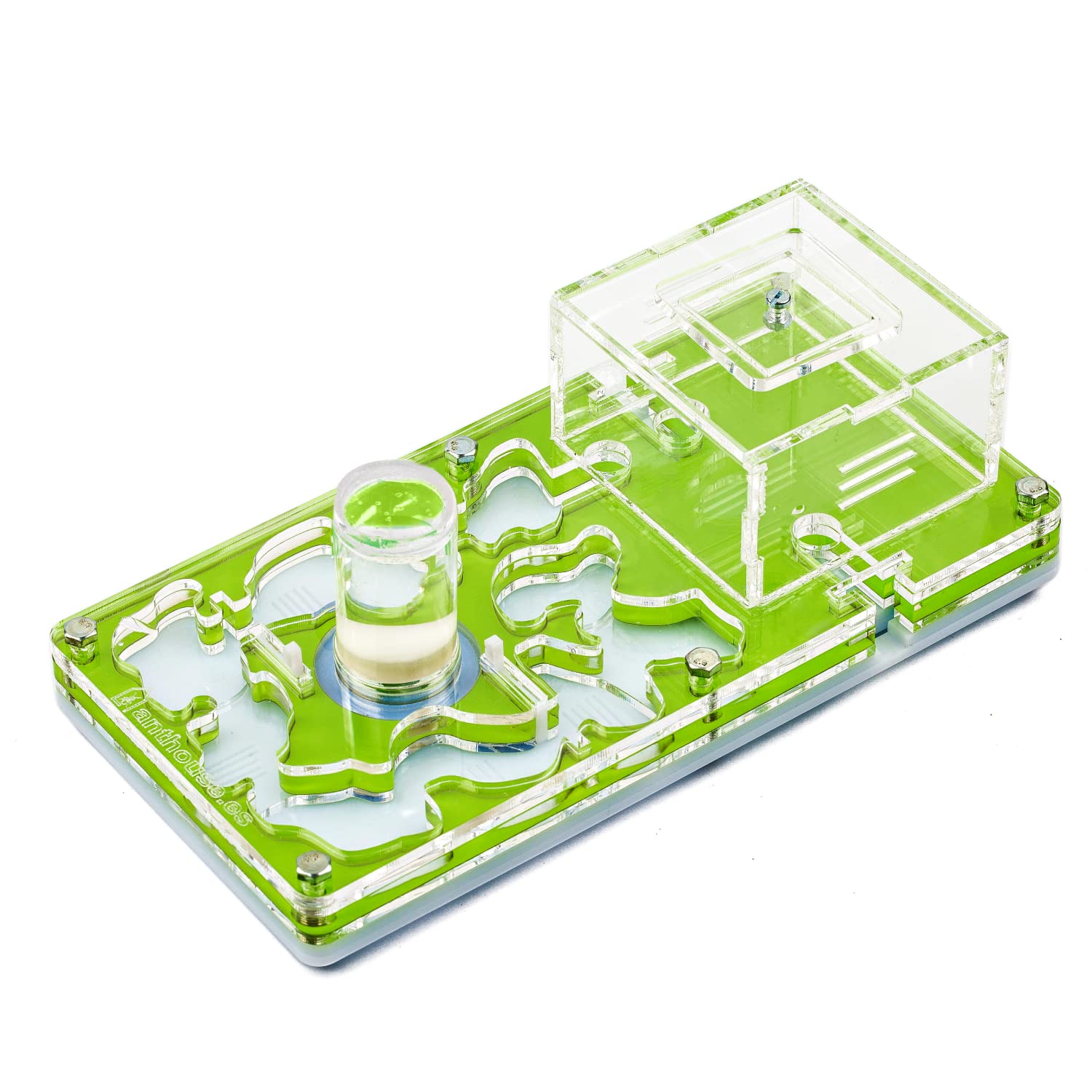 AntHouse - Ameisenfarm aus Acryl NaturColor 10x20x1,5cm - Schwamm mit Ablage (Mit gratis Ameisen) (Grün)