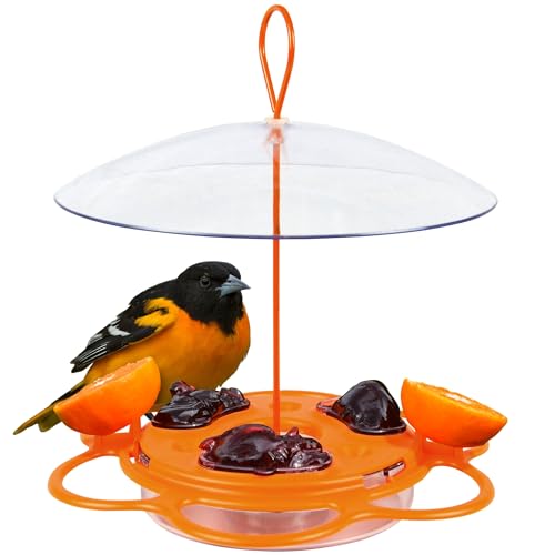 Nature's Way OFP1 All-in-One Oriole Buffet Vogelfutterstation, Orange