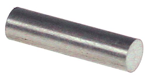 Rational Magnet für Kombidämpfer CM201, CM101, CM102, CM61, CM202, CD101 ø 10mm Länge 40mm