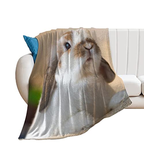 Kuscheldecke Kaninchen Wohndecke Weich Warm Flanell Fleecedecke Sofadecke Bettüberwurf 150×200cm