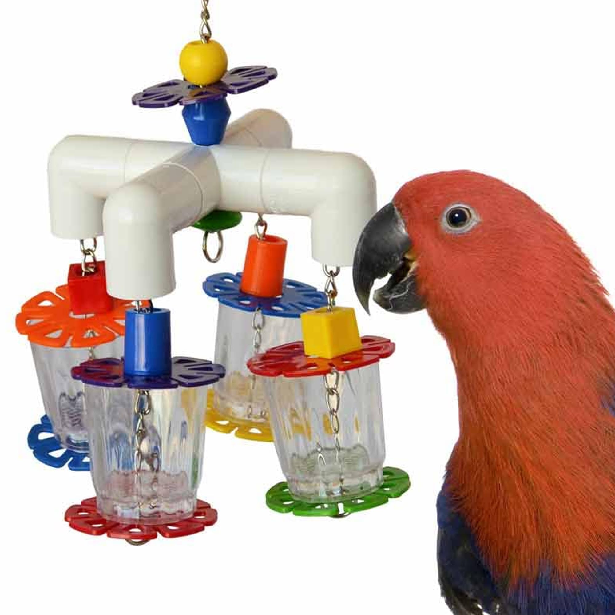 Super Bird Creations SB634 Futtersuche, 4-Wege-Vogelspielzeug mit transparenten Acryl-Tassen, mittlere bis große Größe, 30,5 x 17,8 x 17,8 cm