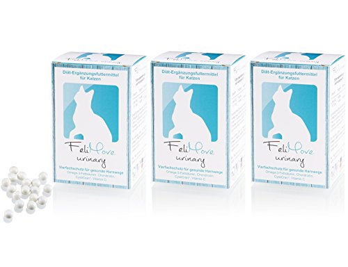 FeliMove urinary Dreierpack (3 x 100 Kapseln) - Diät-Ergänzungsfuttermittel für Katzen bei Erkrankungen der unteren Harnwege (Fus/FLUTD)