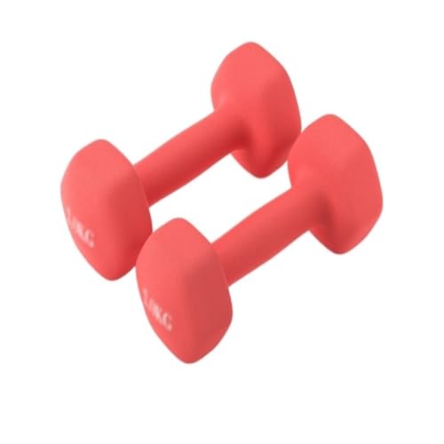 Hantel Kurzhantel-Damen-Fitness-Heimgeräte, Reines Eisen, Kleines Hantel-Set, Kombinations-Armtraining For Männer Dumbbell (Color : Red, Size : 10kg)