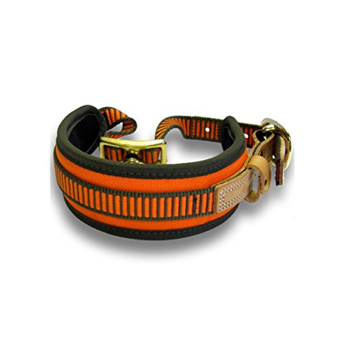 Niggeloh Hundehalsband Schweißhalsung, orange-oliv, XS, 011100020