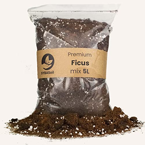 Premium SYBASoil Ficus Erde 10 Liter , Torffrei , Cocos Substrat , Pflanzerde