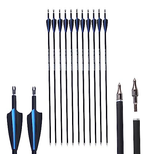 AMEYXGS 12 Stück Pfeile für Bogenschießen, Mixed Carbon Arrows 30 Zoll Zielpfeile Spine 500 mit Ersetzen Pfeilspitzen für Recurvebogen Compoundbogen Langbogen (blau+schwarz)