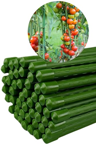 Novatool Pflanzstäbe grün Rankstäbe Rankhilfe Tomatenstäbe (50, 11x150)