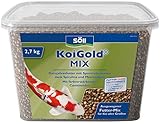 Söll KoiGold Mix, 7 l - Koifutter mit Spurenelementen und Vitaminen zur vollwertigen Ernährung von Koi im Koiteich, Gartenteich, Fischteich