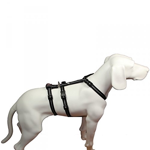 No Exit ausbruchsicheres Hundegeschirr für Angsthund, Sicherheitsgeschirr für Pflegehund, Panikgeschirr, schwarz Streifen, Bauchumfang 60-80 cm, 25 mm Bandbreite
