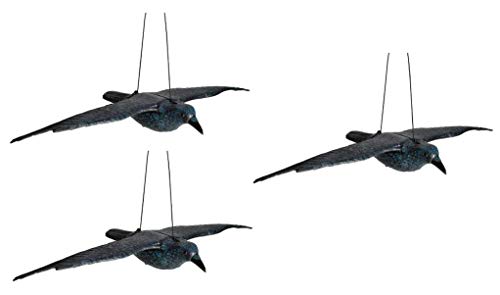 Hillfield Schwarzer Rabe fliegend oder sitzend Kunststoff Taubenschreck Taubenabwehr Vogelschreck (3 Raben fliegend)