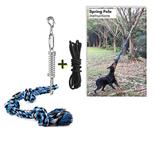 Roexboz Hundespielzeug Seil Federstange zum Kauen und Tauziehen für mittelgroße und große Hunderassen 99 cm