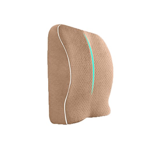 Triangle Taille Support Memory Waist Pad - Low Back Schmerz Support Kissen - Für Zuhause/Büro/Auto/Reisen - Lindert und verhindert Schmerzen im unteren Rücken (39 x 39 x 9 cm) Lesekissen