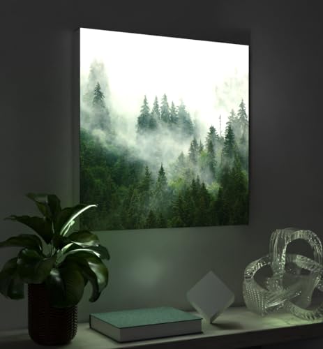 MyMaxxi - Pixlip Poster Nebliger Wald Wandbild Design Wand Dekoration, Baum Nebel grün Leuchtrahmen - Wald, 84x60 cm, Rahmen: nur Druck