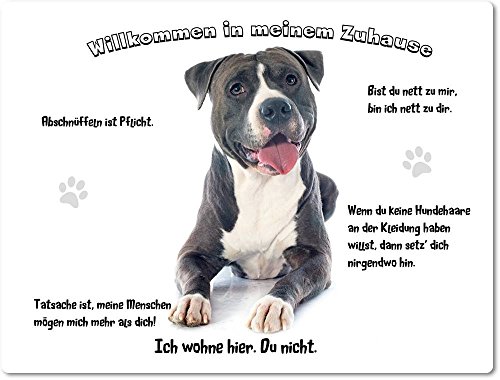 Blechschild/Warnschild/Türschild - Aluminium - 30x40cm - - Willkommen in Meinem Zuhause - Motiv: American Staffordshire Terrier - 03