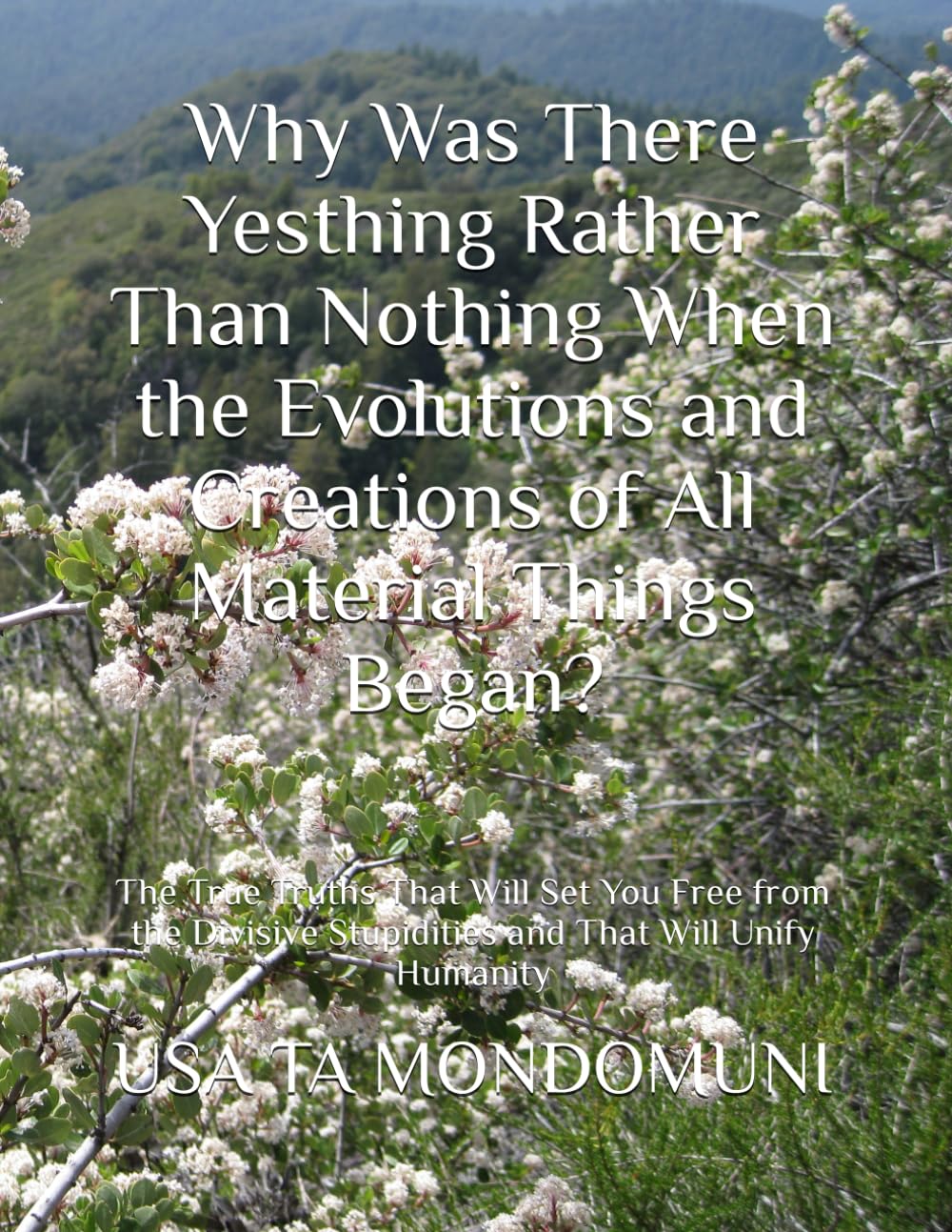 Why Was There Yesthing Rather Than Nothing When the Evolutions and Creations of All Material Things Began?: The True Truths That Will Set You Free ... Stupidities and That Will Unify Humanity