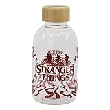 Stor Glasflasche 620 ml | Stranger Things
