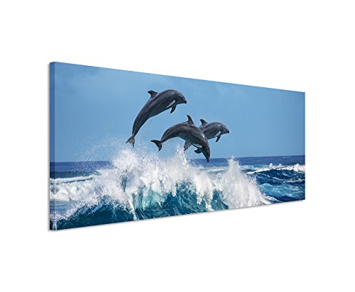 Unique Wunderschönes Wandbild 150x50cm Tierbilder – DREI springende Delfine über Einer Meereswelle